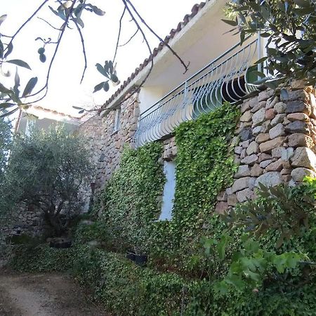 Casa In Campagna Hotel Dorgali Exterior photo