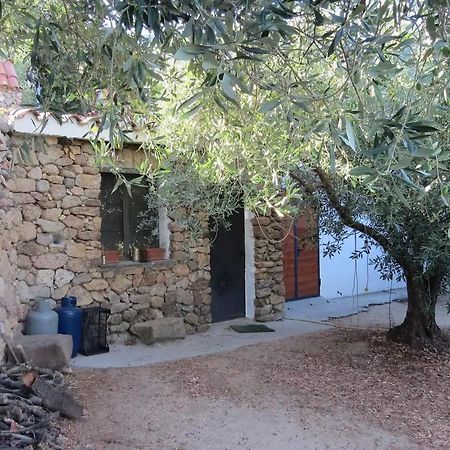 Casa In Campagna Hotel Dorgali Exterior photo
