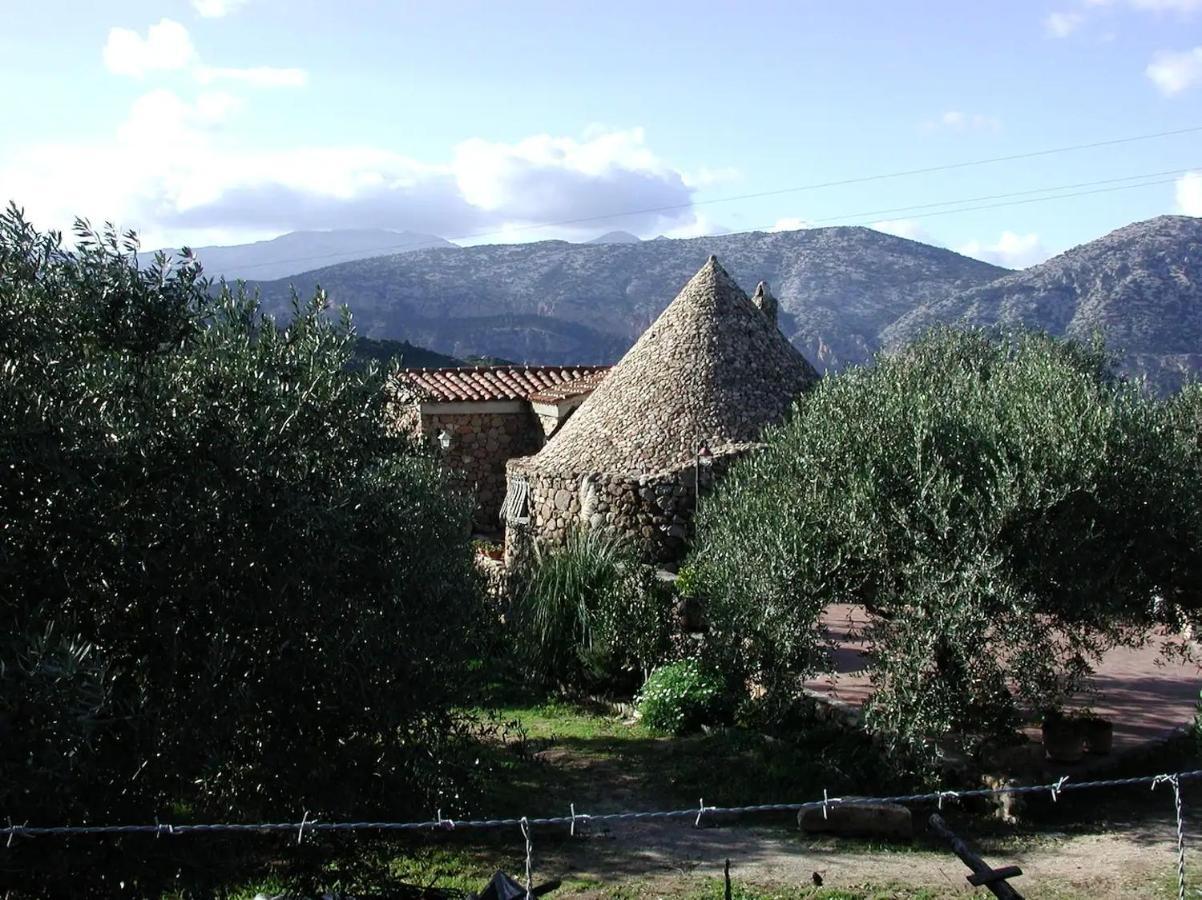 Casa In Campagna Hotel Dorgali Exterior photo