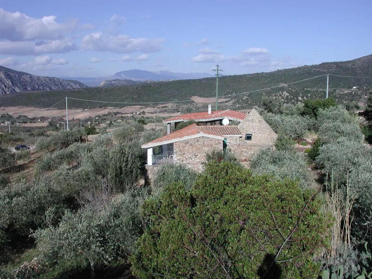Casa In Campagna Hotel Dorgali Exterior photo