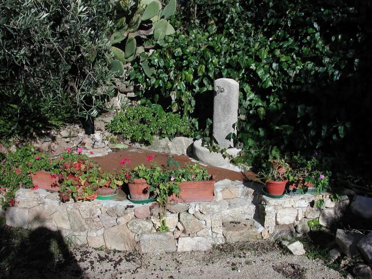 Casa In Campagna Hotel Dorgali Exterior photo
