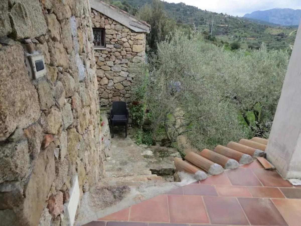 Casa In Campagna Hotel Dorgali Exterior photo
